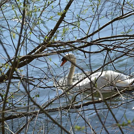 Am Brunnen - Naehe Europapark, W-lan, Klimaanlage * Rheinhausen
