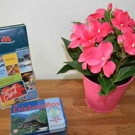 Apartment Am Brunnen - Naehe Europapark, W-lan, Klimaanlage