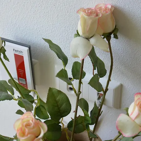 Am Brunnen - Naehe Europapark, W-lan, Klimaanlage Apartment Rheinhausen